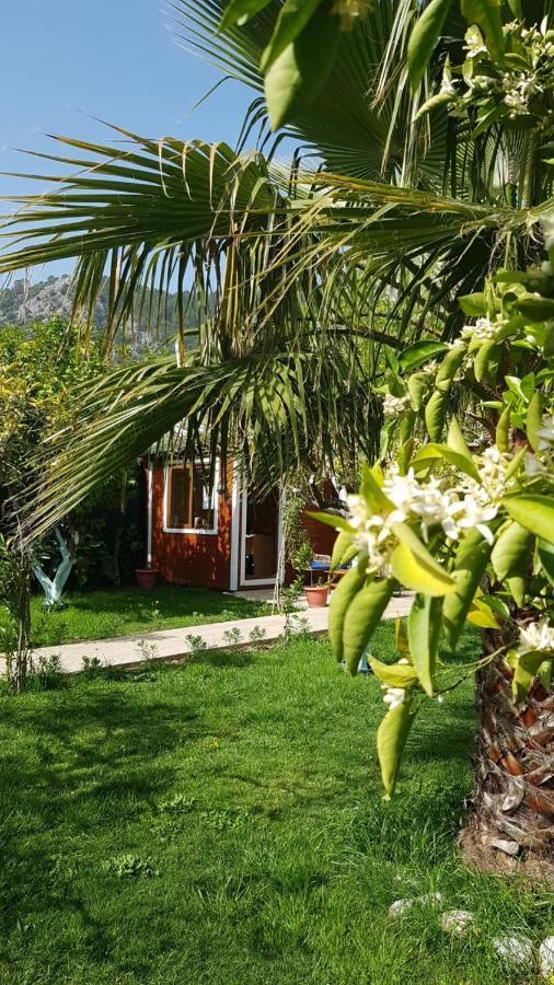 Ayris Hotel Çıralı Dış mekan fotoğraf